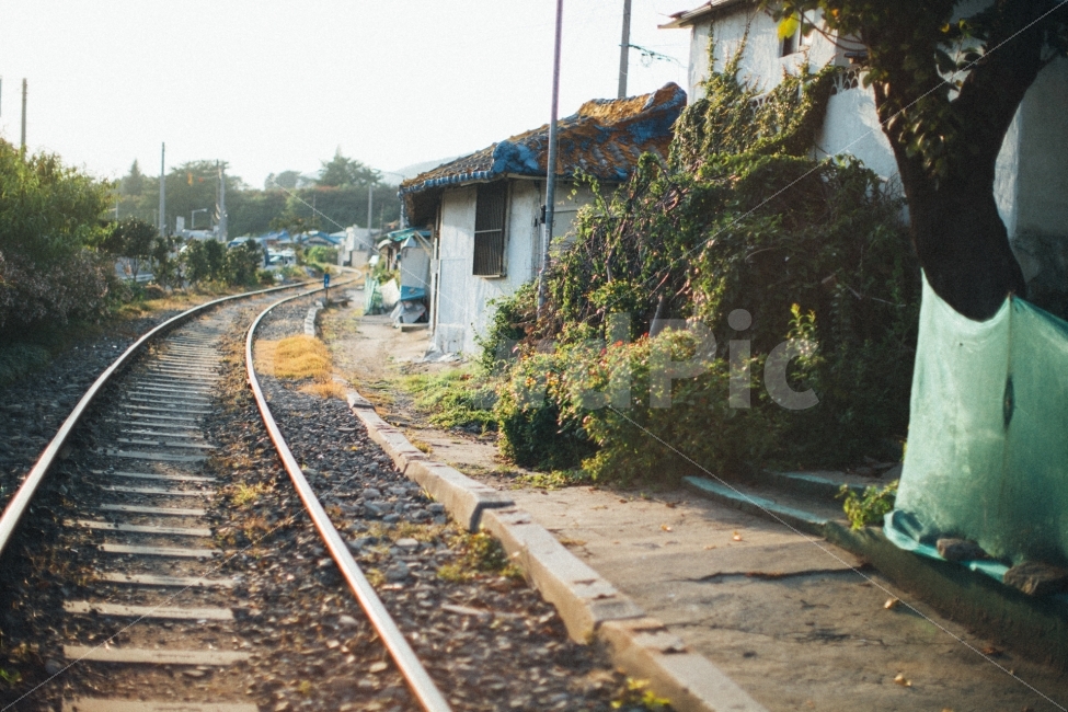 철길,감성,스냅,노을,햇살,교통,교통수단,traffic,transportation,시골,마을,풍경,landscape,country,rural,town,감성,sensible,feeling,railway,철도,train track,기찻길,rail,레일