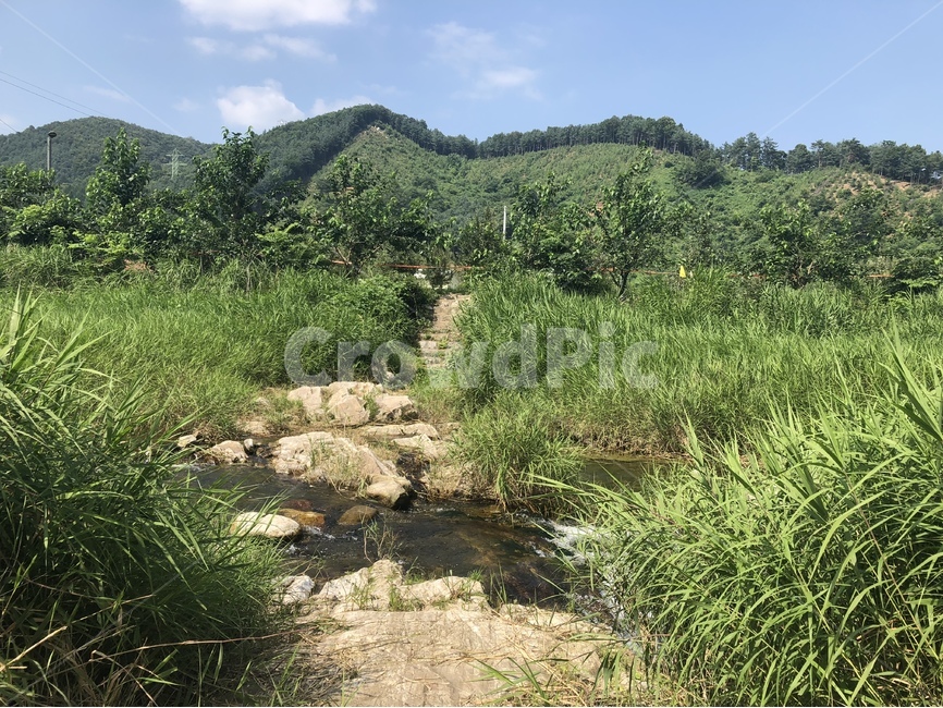 계곡,풍경,그린,산,자연,자연,풍경,nature,landscape,wilderness,황야,outdoors,옥외,plant,식물