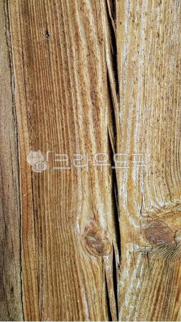 hardwood,interior design,wood