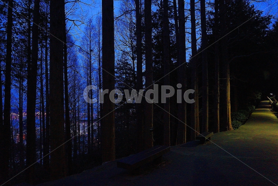 민주공원,산책로,나무,공원,밤,park,tree,nightview,자연,풍경,nature,landscape,공포,호러,무서운,무서움,horror,terror,fear