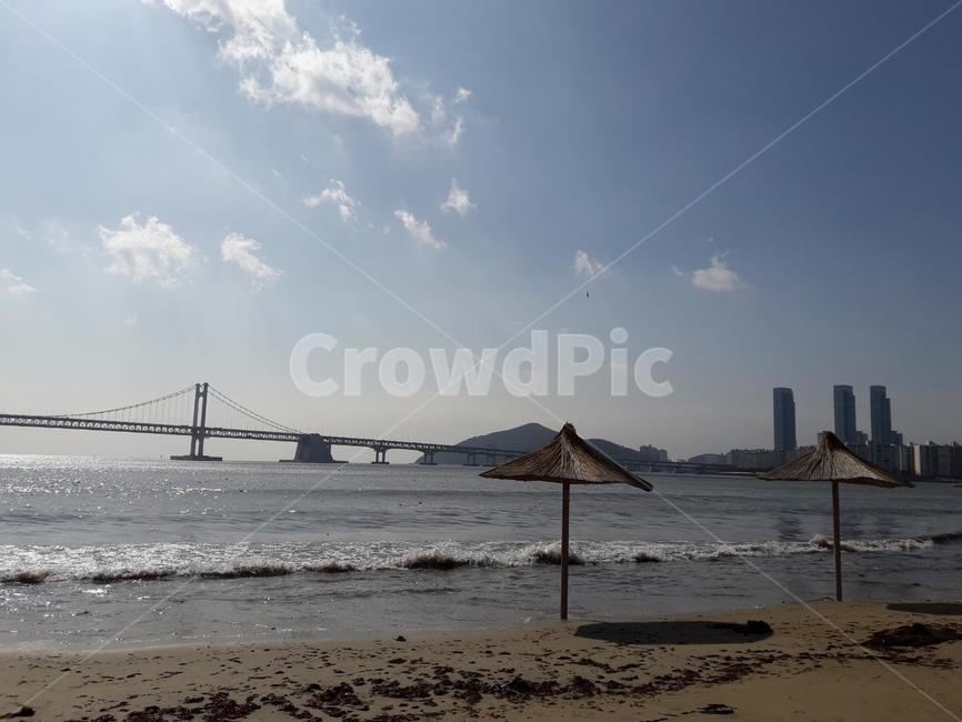 광안리,바다,해수욕장,자연,다리