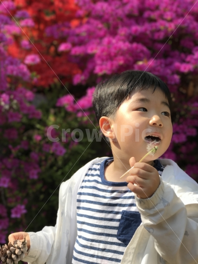 여행,육아,어린이,봄,여름,사람,인물,인간,human,person,얼굴표정,facial expression,face,어린이,어린아이,child,children,kid,감정표현,기분,feeling,emotion