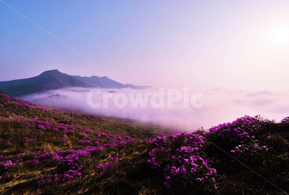 황매산,철쭉제,황매산철쭉,합천황매산,산청황매산,풍경사진,구름,운해,황매산운해,봄,계절,spring,season,자연,풍경,nature,landscape,한국자연풍경,한국자연경관,korea nature landscape,outdoors,옥외