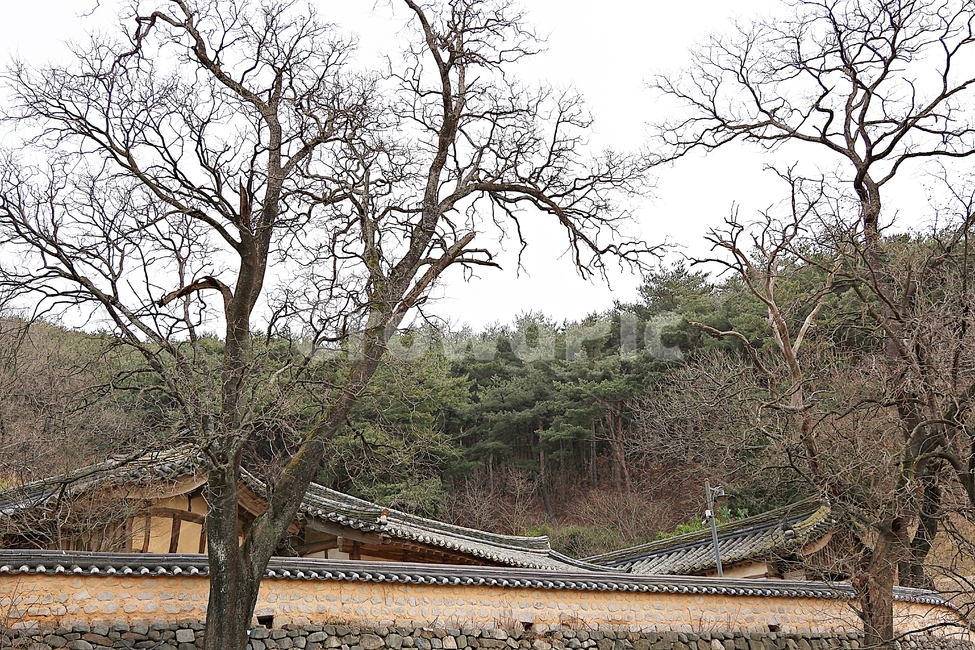 양동마을,한옥,기와집,집,전통집,한옥집,건물,자연,풍경,겨울,옛날집,한국전통,한국문화,korean traditional,korean culture