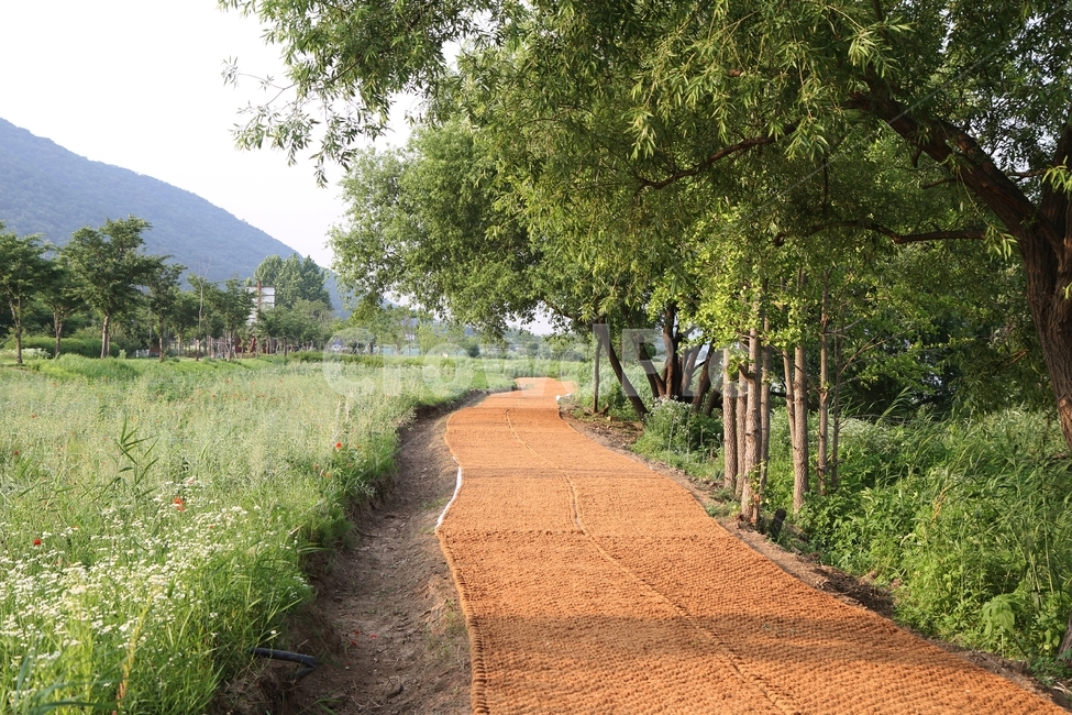 길,산책길,공원,감성사진,풍경사진,자연,풍경,nature,landscape,한국자연풍경,한국자연경관,korea nature landscape,gravel,자갈,road,도로,dirt road,흙길,ground,바닥