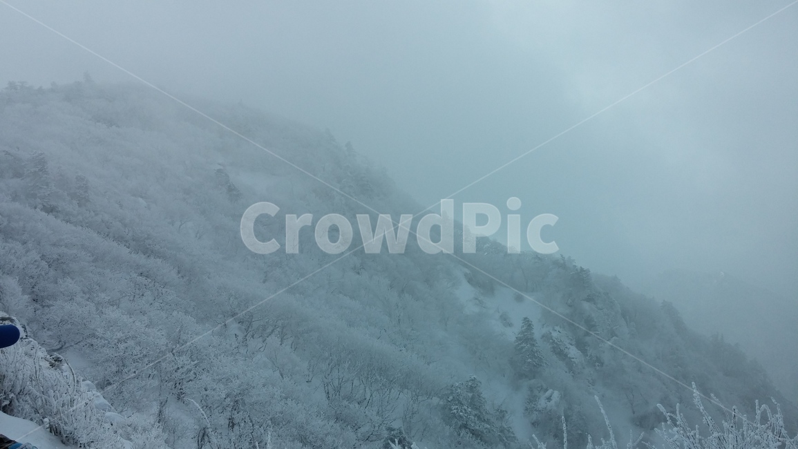 nature,옥외,blizzard,눈보라,snow,자연,storm,눈,winter,겨울,폭풍,outdoors,눈사람,하늘,겨울,계절,winter,season