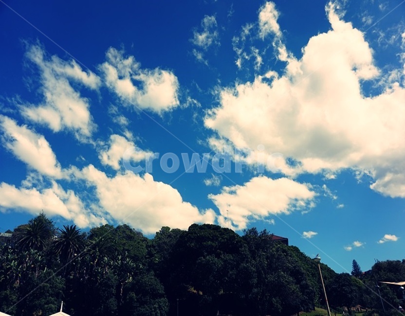 파란하늘,blueclouds,나무,tree,파란색,blue,자연,풍경,nature,landscape,outdoors,옥외,weather,날씨