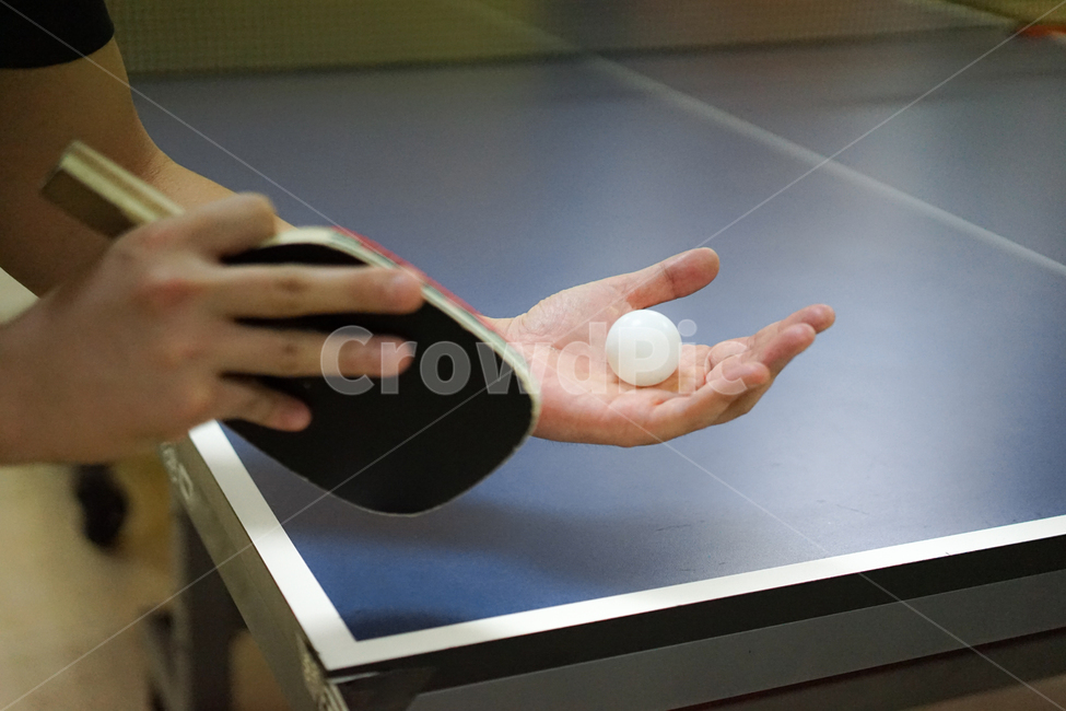 탁구,구기종목,스포츠,탁구대,탁구라켓,tabletennis,스포츠,레저,운동,sports,leisure,exercise,사물,물건,오브젝트,thing,object,matter