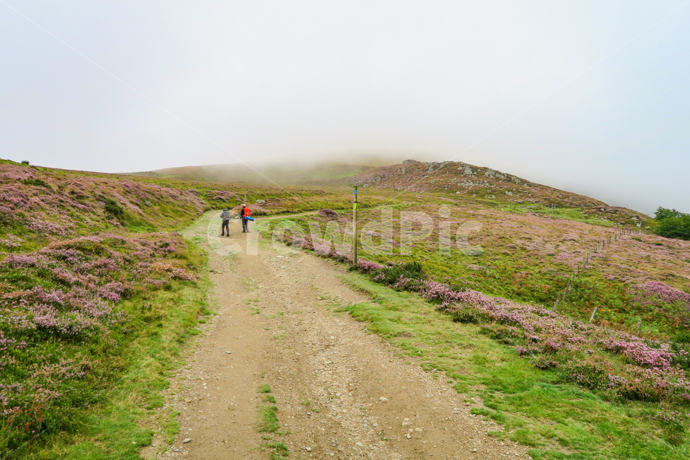 pyrenees,caminodesantiago,Santiago pilgrimage route,pilgrimage,Pebble,road,human,dirt road,dirtroad,pilgrim,grassland,Spain,peregrino,gravel,outdoors,field,person,road name,Pyrenees,pilgrimage route