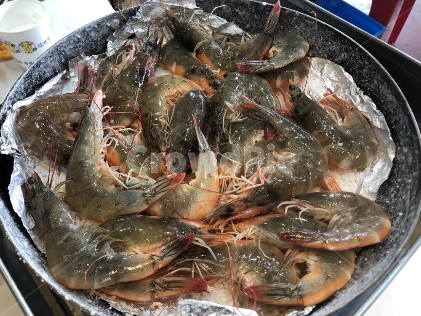 seafood,해물,food,동물,animal,해양생물,sealife,음식,대하,대하구이,음식,식재료,요리,food,cook,meal,dishes,food reserves,수산물,해산물,fishery products,seafood