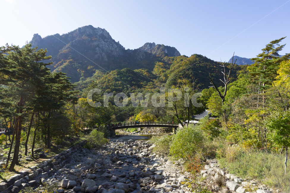 풍경,자연,설악산,단풍,권금성,속초,강원도,정상,경관,장관,산,나무,봉우리,능선,전망,가을,등산,국립공원,명소,바위,하늘,경치,고산지대,협곡,울산바위,야외