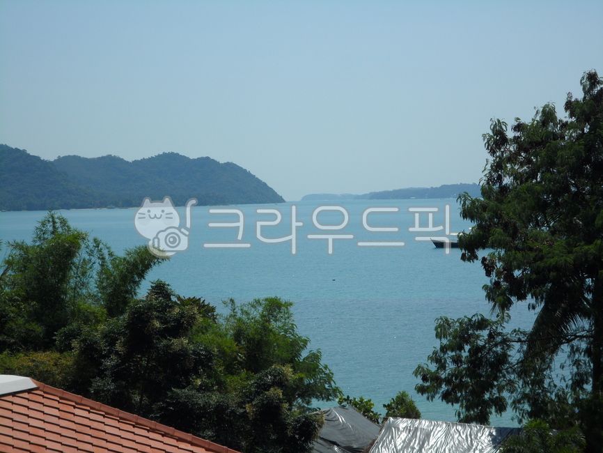 nature,자연,집,house,주택,여름,summer