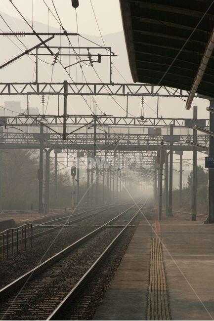 railway,철도,rail,레일,교통,기찻길