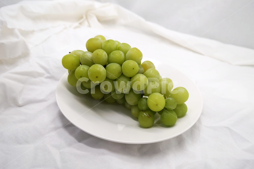 포도,grape,fruit,과일,머스켓,청포토,muscat,접시,과일,열매,fruit