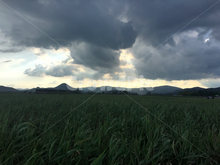 자연,풍경,하늘,구름,풀밭,자연,풍경,nature,landscape,outdoors,옥외,field,들