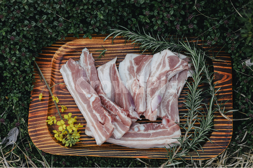 돼지고기,돼지,흑돼지,바베큐,bbq,고기,파티,party,pork,roastpork,meat,barbecue,grill,음식,식재료,요리,food,cook,meal,dishes,food reserves,육류,고기,meat