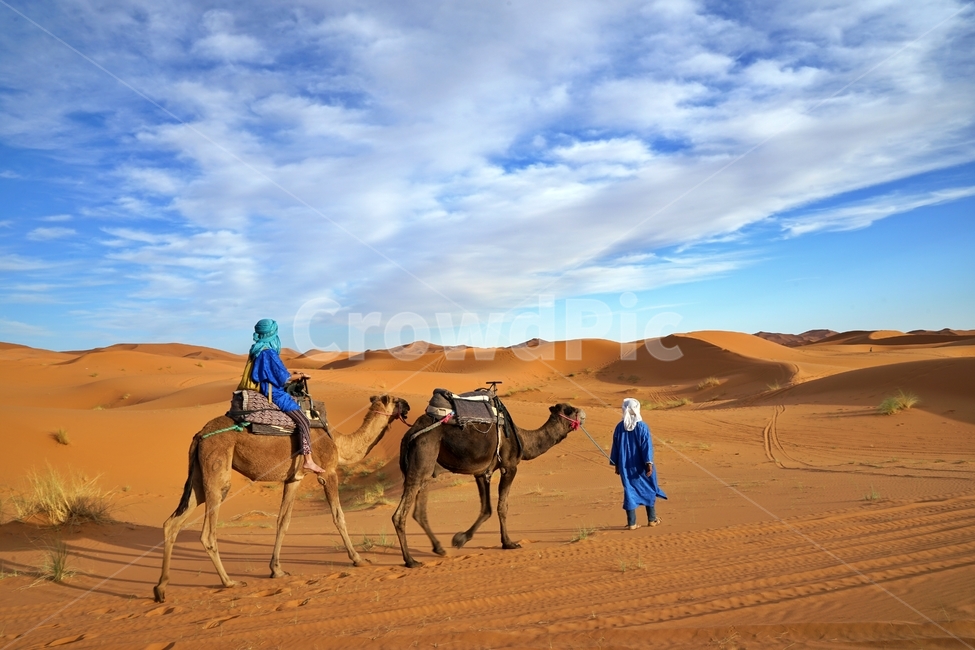 사막,desert,사하라사막,saharadesert,낙타,camel,그림자,shadow,붉은색,red,nature,자연,outdoors,옥외,sand,모래,dune,모래언덕,sunlight,빛,동물,animal,포유류,mammal,사람,인물,인간,human,person