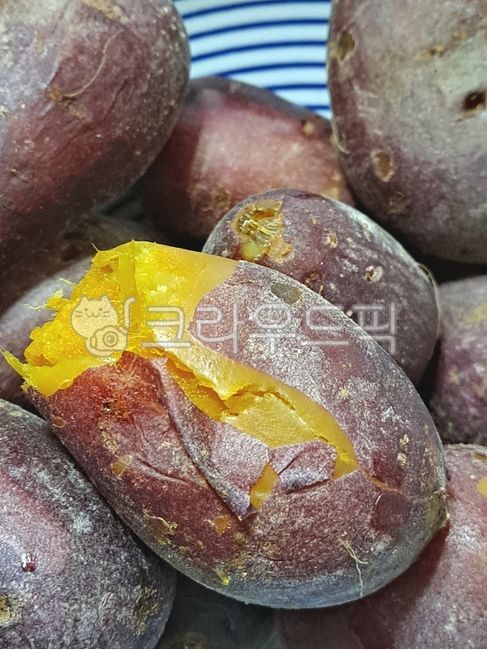 chestnut sweet potato,sweet potato,potatoes,Honey sweet potato,Pumpkin Sweet Potato,nature,Steamed Sweet Potato,Shintobuli,skin,plate,bowl,boiled sweet potato,Emotion,sweet