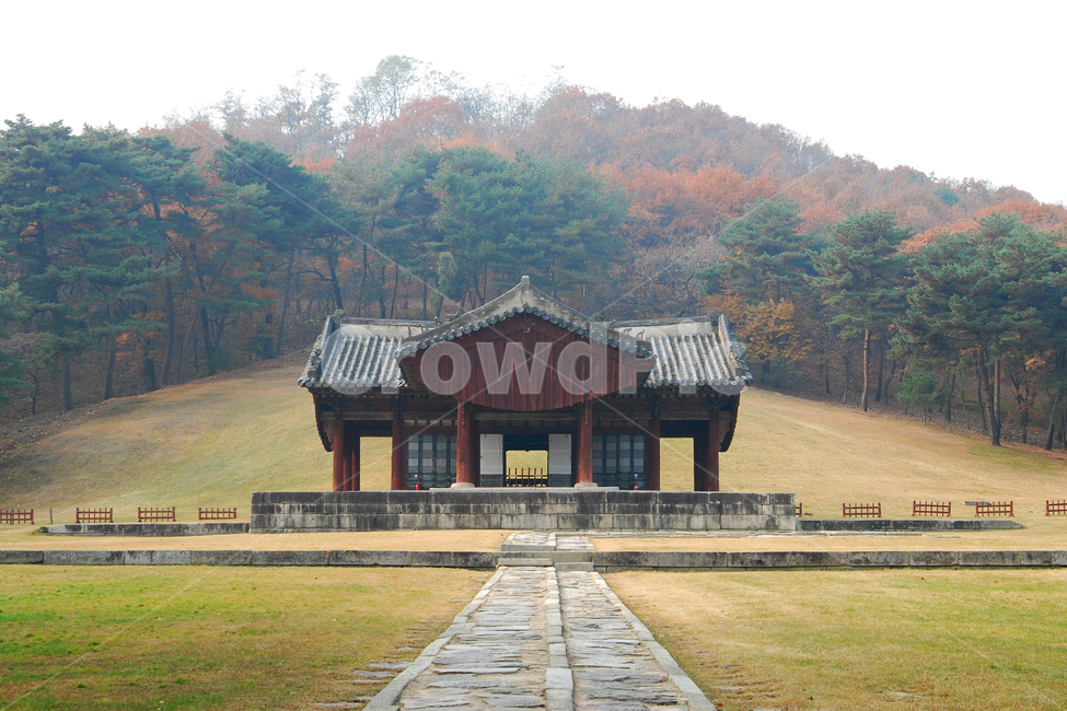 왕릉,릉,능,문화재,한국,전통,한국전통,전통건축,풍경,자연,숲,역사,조선시대,한국전통,한국문화,korean traditional,korean culture,랜드마크,landmark,tourist attraction,한국랜드마크,한국관광지,한국명소,korea landmark,korea tourist attraction,건축물,건물외관,exterior,building,structure,architecture,construction