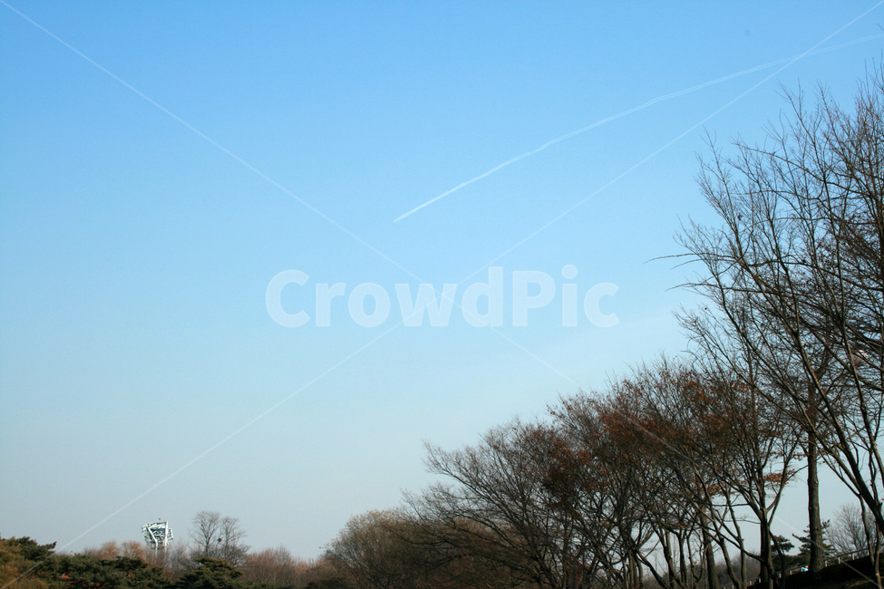 하늘,나무,겨울,파란,sky,자연,풍경,nature,landscape
