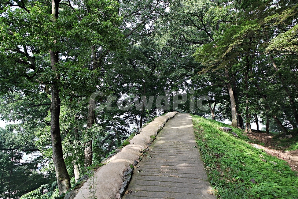 공주산성,산성,성,성곽,길,둘레길,숲,숲길,안개,담,돌담,여름,풍경,흙담,나무,식물,유네스코등제