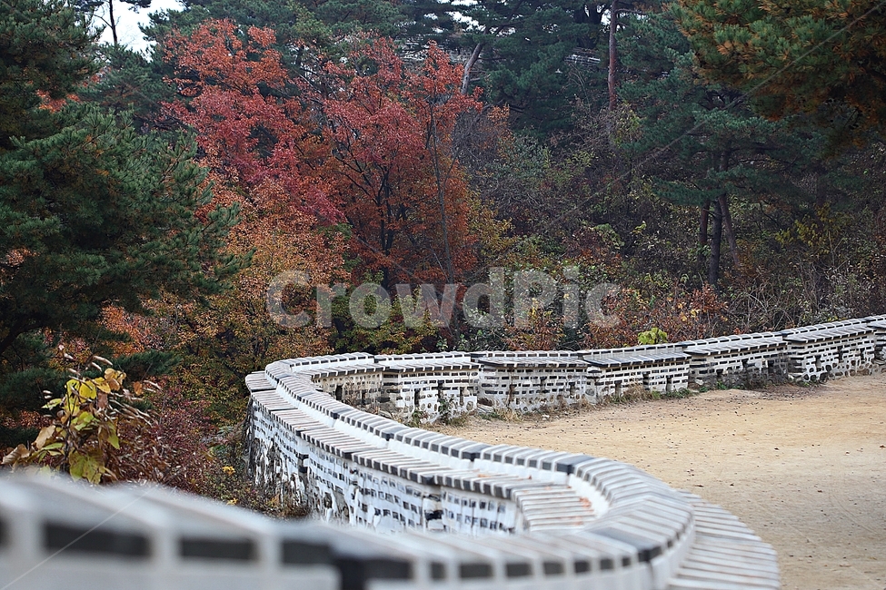 남한산성,성,성곽,단풍,낙엽,길,둘레길,숲,숲길,담,돌담,가을,자연,풍경,벽,울긋불긋,산성,식물,가을,계절,fall,autumn,season