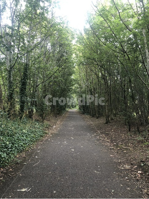 흙길,자갈,통로,산책로,공원,나무,dirtroad,path,tree,park