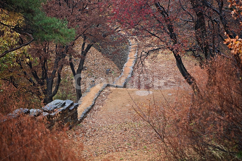 전등사,성,성곽,단풍,낙엽,산성,길,둘레길,숲,숲길,담,돌담,가을,자연,풍경,벽,방어벽,돌,나무,식물,가을,계절,fall,autumn,season,자연,풍경,nature,landscape