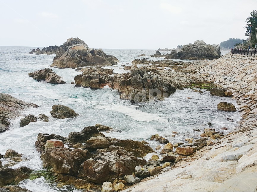 바다,바위,파도,바람,하늘,파란바다,풀,nature,stone,sea,파랂하늘,구름,sky,자연,풍경,nature,landscape,promontory,곶