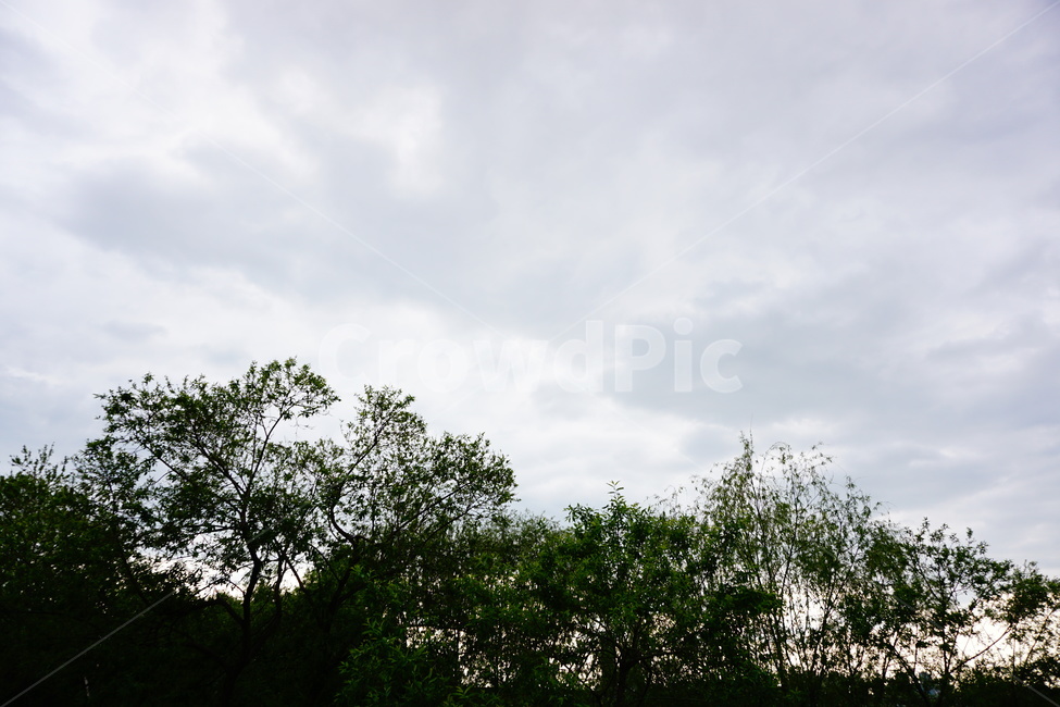 봄,한강,풀잎,초록,감성,휴식,힐링,배경,긍정,healing,spring,하늘