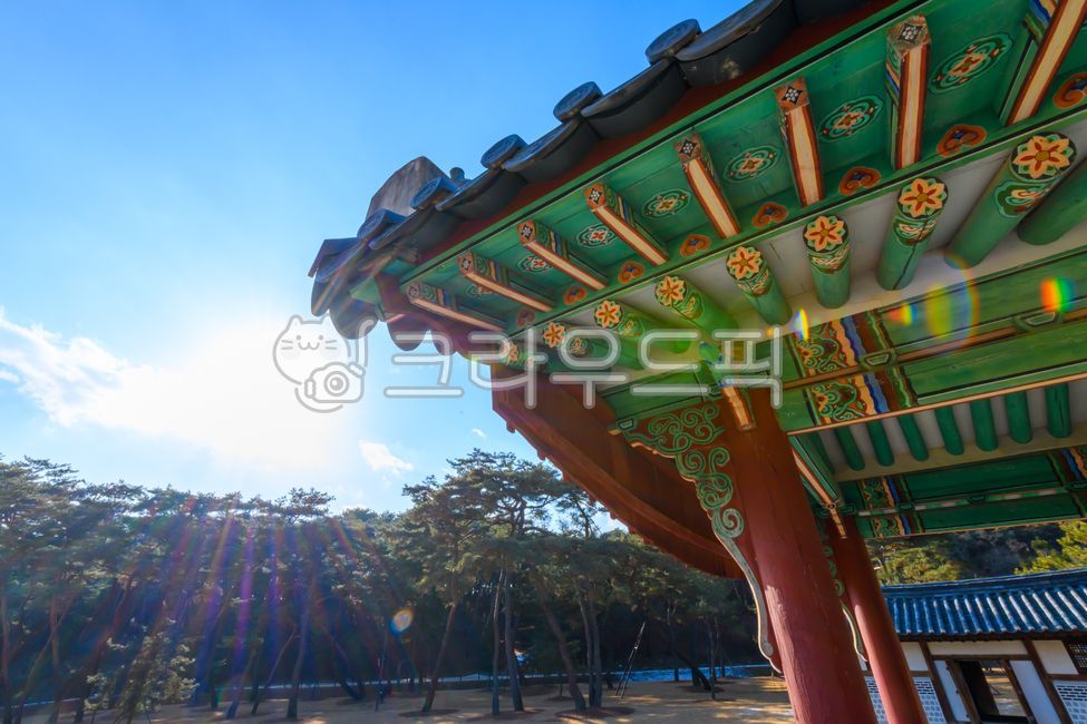 Yeongneung,color,royal tomb,pattern,building,traditional colors,South Korea,Sejong,unesco,design,tile,King Sejongs Tomb,tradition,ability,Shipbuilding,decoration,architecture,gyeonggido,art,green,nature,tomb,tree,oriental,Korean,Yeoju city,chairman,tradit