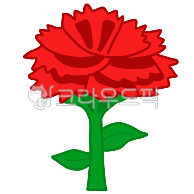Teachers day,carnation design,carnation,Mothers Day,Carnation illustration,flower