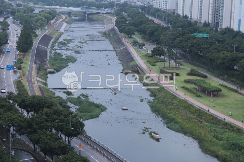 자연경관,자연,하천,비오는날,물,도로,강변,강변공원,옥외,nature,water,도시하천