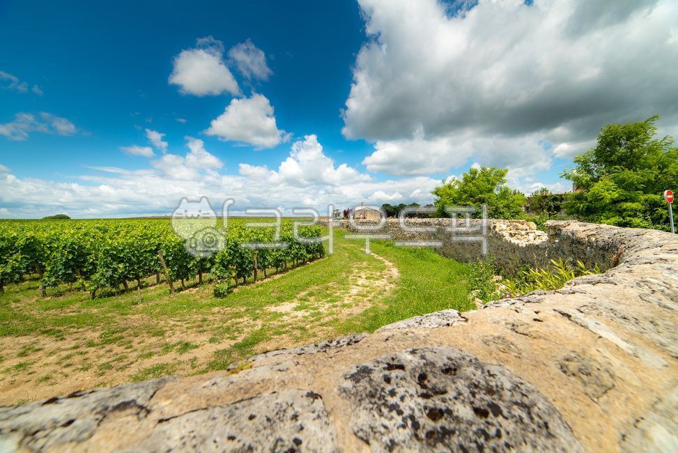 유럽,europe,프랑스,france,생떼밀리옹,saintémilion,saintemilion,와인마을,winevillage,세계문화유산,worldheritage,포도밭,vinyard,wine,와인,보르도,보르도와인,bordeaux,bordeauxwine,프랑스남부,마을,villige,감성,느낌,경치,landscope,자연,nature,outdoors,옥외