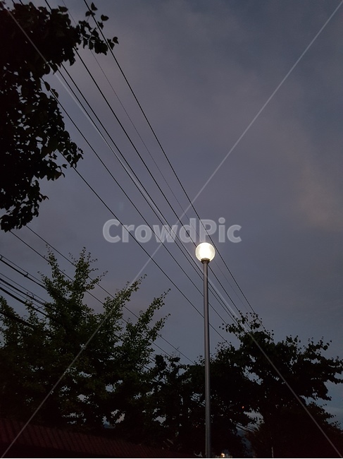 하늘,저녁,가로등,등불,밤,밤하늘,불빛,야경,야경,밤,풍경,nightscape,night,landscape,nature,자연,outdoors,옥외