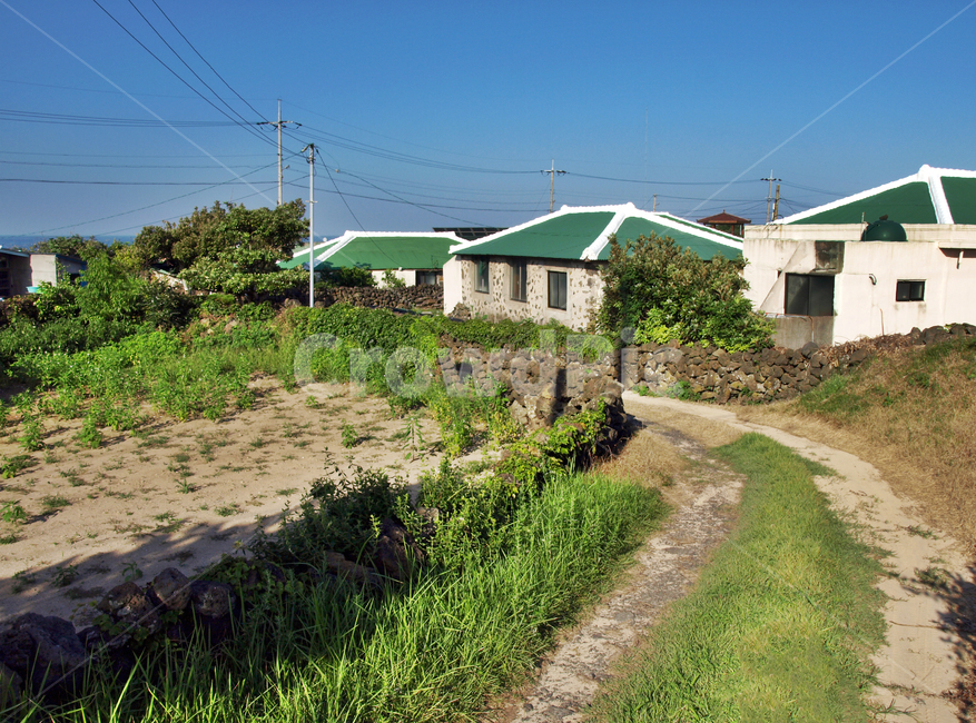 마을,올레,올레20코스,동네,제주,도로,돌담,민가,outdoors,옥외,nature,자연,building,건물,rural,농촌,shelter,피난처