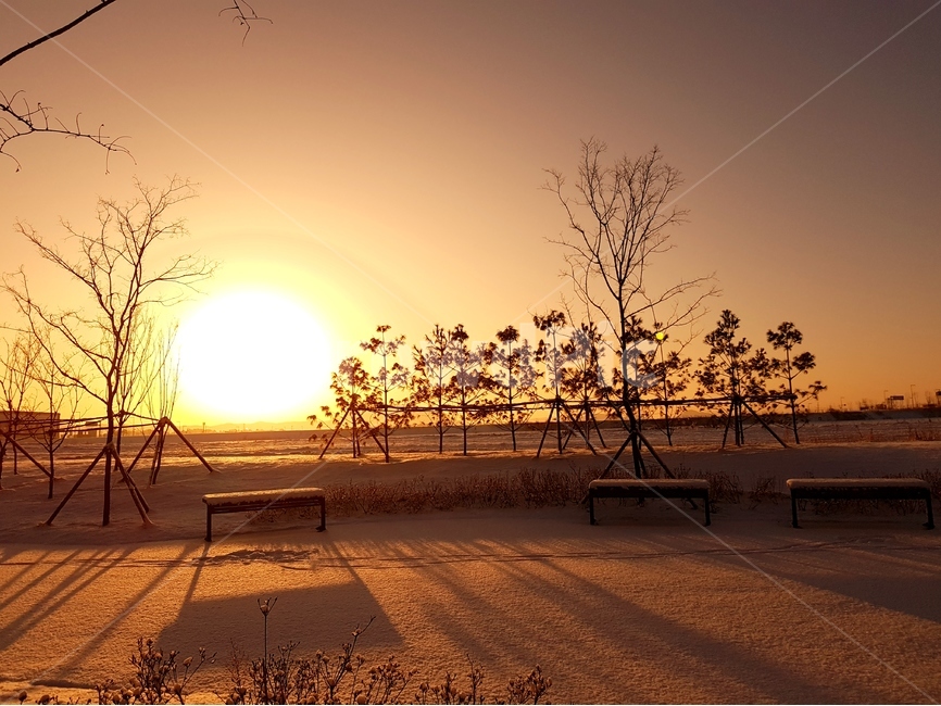 일출,해,풍경,자연,겨울,나무,겨울,계절,winter,season,자연,풍경,nature,landscape,outdoors,옥외,sunlight,햇빛