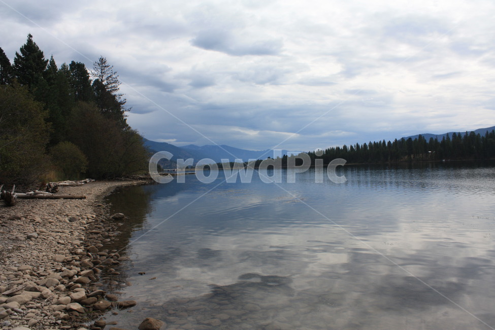 water,물,tree,나무,nature,자연,풍경,강,자연,풍경,nature,landscape,plant,식물,fir,전나무