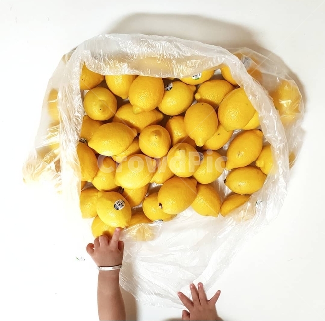 레몬,과일,lemon,yellow,노란색,노랑,음식,식재료,요리,food,cook,meal,dishes,food reserves,과일,열매,fruit