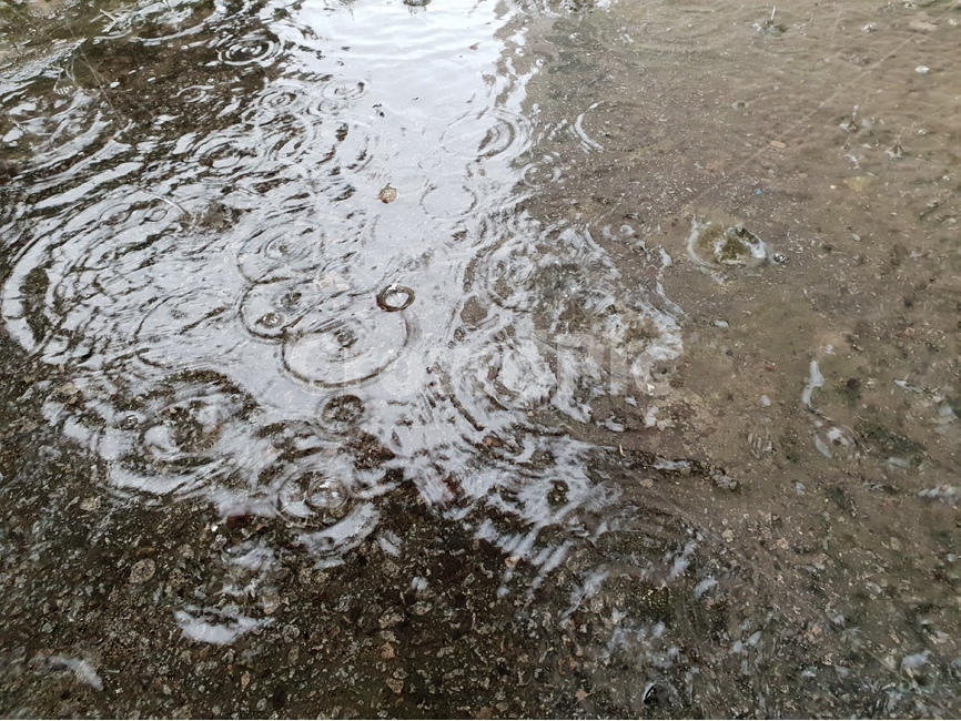 빗방울,물,빗물,패턴,배경,날씨,감정,비오는날,rain,raindrops,background,weather,pattern,비,비오는날,rain,rainy