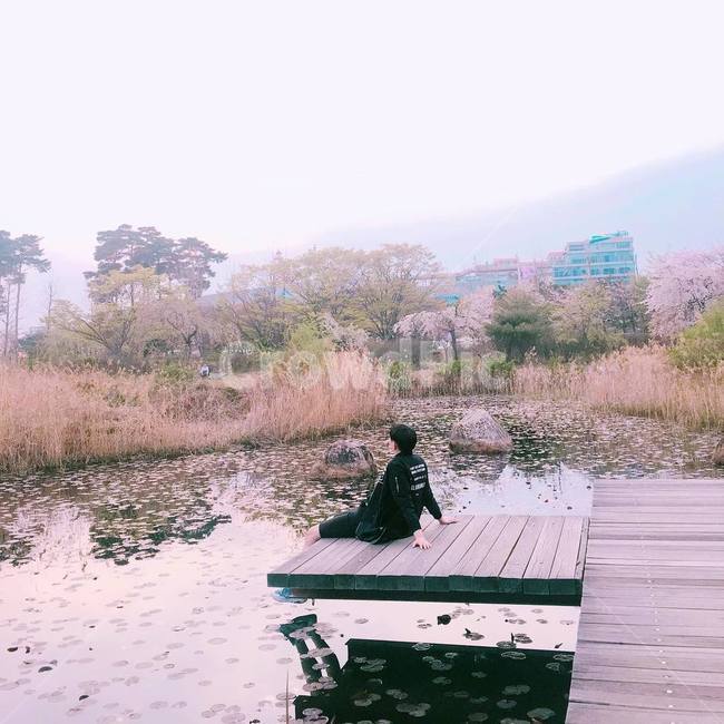 가을감성,감성사진,감성,연못,다리,갈대숲,갈대,미세먼지