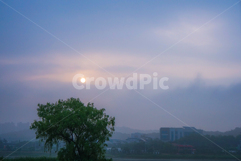 일출,해,태양,아침,나무,버드나무,안개,자연,풍경,nature,landscape,outdoors,옥외