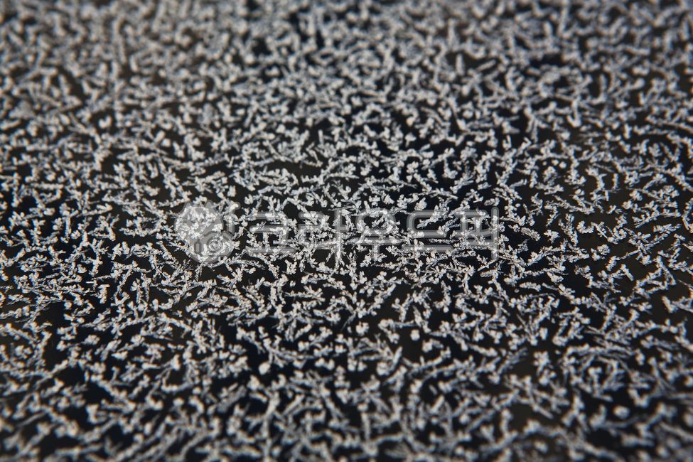 서리,아침서리,눈,눈꽃,겨울,겨울눈꽃,겨울서리,frost,얼음,ice,snow