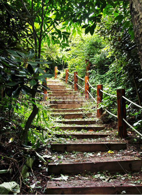 탐방로,제주,올레19코스,올레길,서우봉,목책,계단,자연,풍경,nature,landscape,arbour,정자,garden,정원,outdoors,옥외