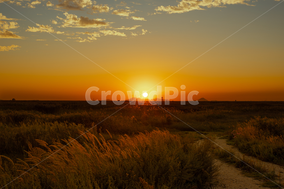 노을,해질녘,갈대,갈대밭,하늘,구름,자연,sunset,sunlight,reed,fieldofreeds,nature,redsky,dusk,twilight,evening,자연,풍경,nature,landscape