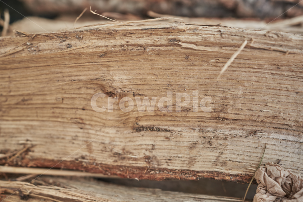 질감,나뭇가지,나무,원목,거친,표면,나무,trees,wood
