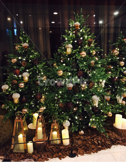 크리스마스,시즌,겨울,크리스마스트리,인테리어,장식,조명,분위기,Christmas,season,winter,Christmastrees,Interior,Ornament,겨울,계절,winter,season,기념일,축하,anniversary,congratulation,celebrate,celebration,메리크리스마스,성탄절,merry christmas,인테리어,실내디자인,interior design