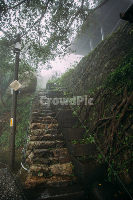 비오는날,안개,fog,rainyday,계단,건축물,건물외관,exterior,building,structure,architecture,construction