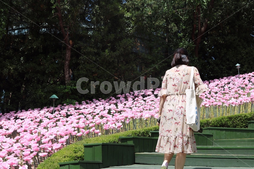 apparel,clothing,dress,person,human,flower,의복,의류,드레스,사람,인간,꽃,pink,핑크