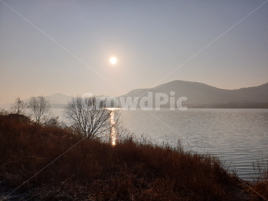 새해,아침해,일출,일몰,호수,강,고요함,쓸쓸,물,lake,sunset,sun,sunrise,river,reed,갈대